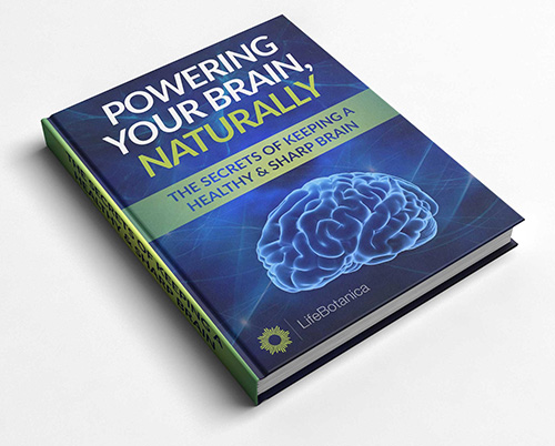 Free Downloadable POWERING YOUR BRAIN NATURALLY eBook