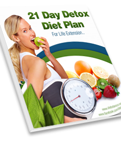 21 Day Detox Diet Plan downloadable eBook
