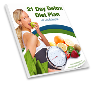 21 Day Detox Diet Plan downloadable eBook