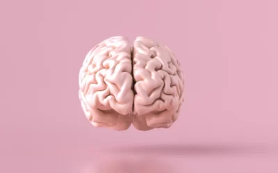 The 5 Secrets To Better Brain Health