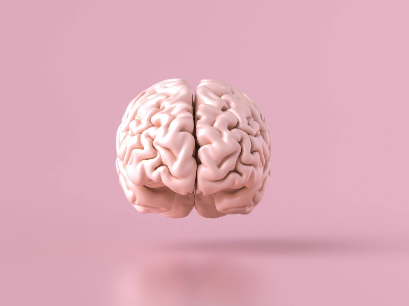 the-five-secrets-to-better-brain-health