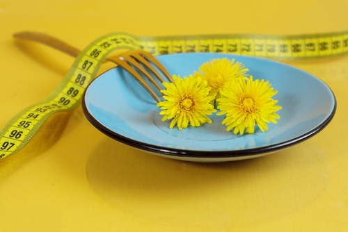 Lose Weight Fast With Dandelion Root